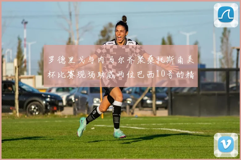罗德里戈与内马尔齐聚桑托斯南美杯比赛现场助威两位巴西10号的精彩时刻